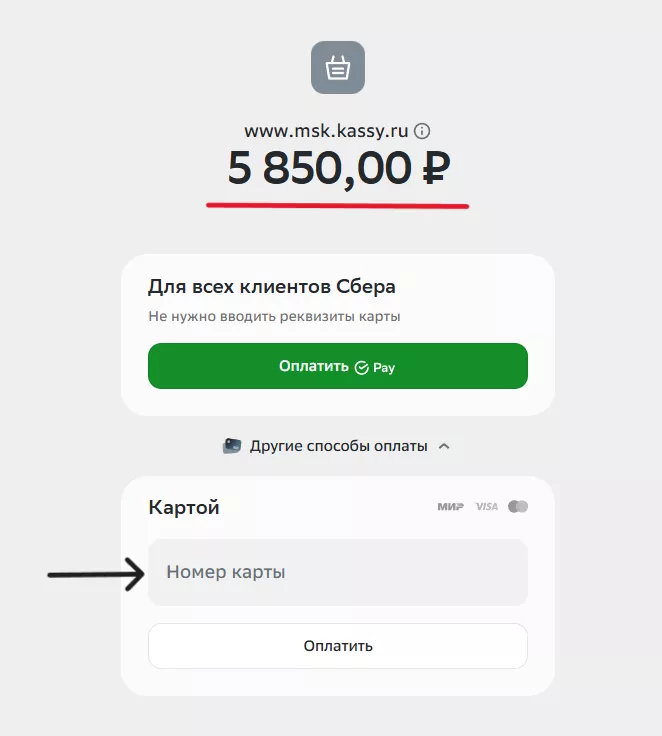 Как купить билет 5.png